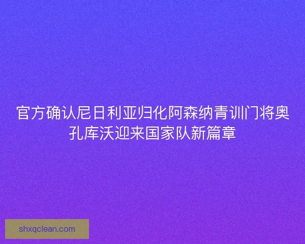 官方确认尼日利亚归化阿森纳青训门将奥孔库沃迎来国家队新篇章