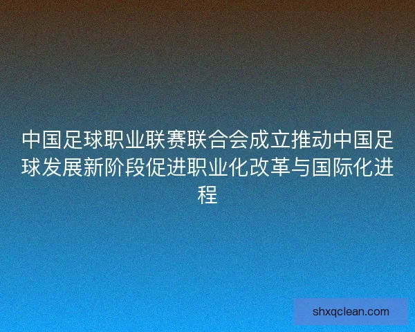 中国足球职业联赛联合会成立推动中国足球发展新阶段促进职业化改革与国际化进程