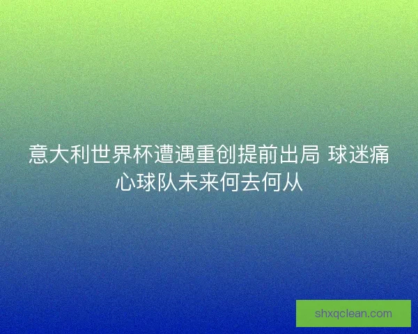 意大利世界杯遭遇重创提前出局 球迷痛心球队未来何去何从